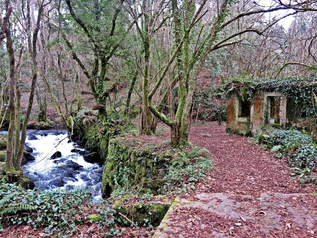 Casa Rural A Pasada Cedeira Eksteriør billede